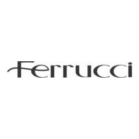 Ferrucci