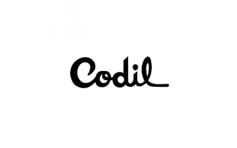 Codil Small Bucket with Lid - 2.5 L