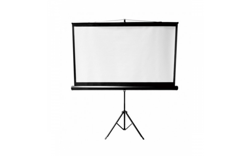 Dinon  Projection Screen 160cm X120cm