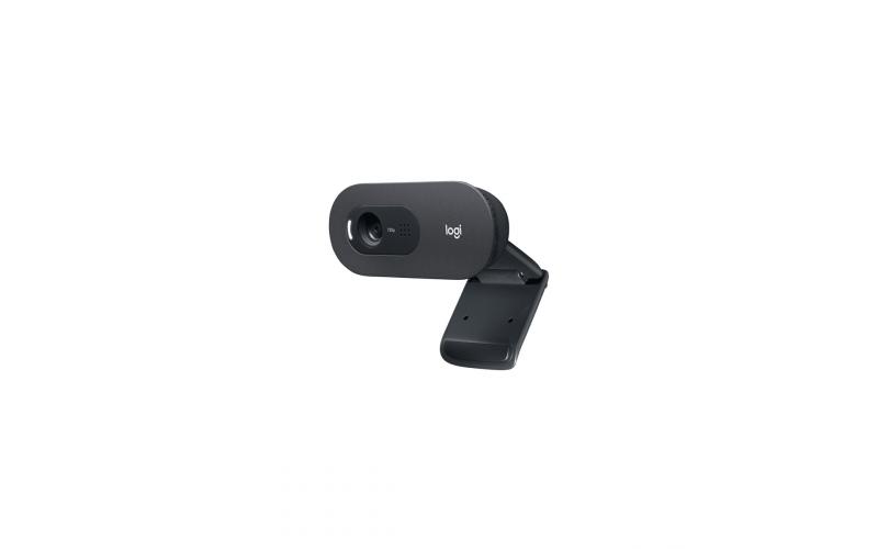 Logitech C505 HD Webcam with Long Range Microphone