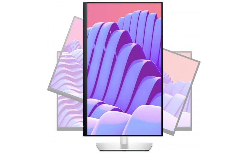 Dell Professional P2422H 24\