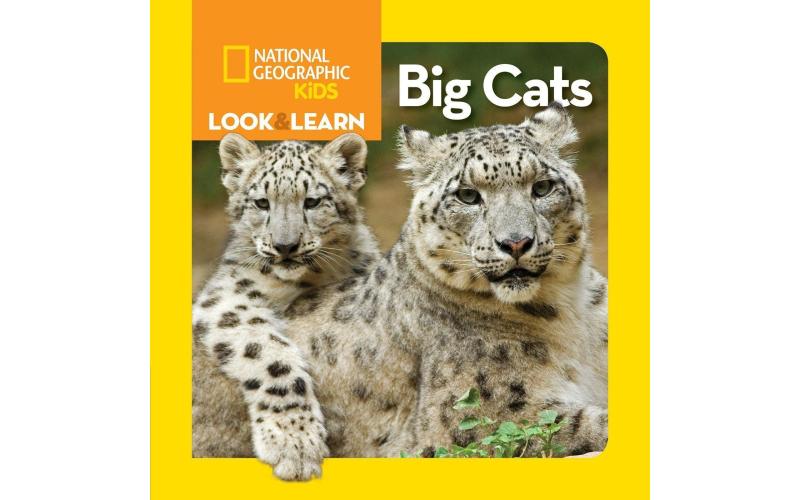 Look and Learn: Big Cats
