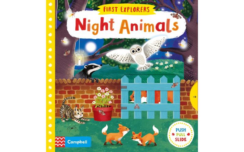 Night Animals