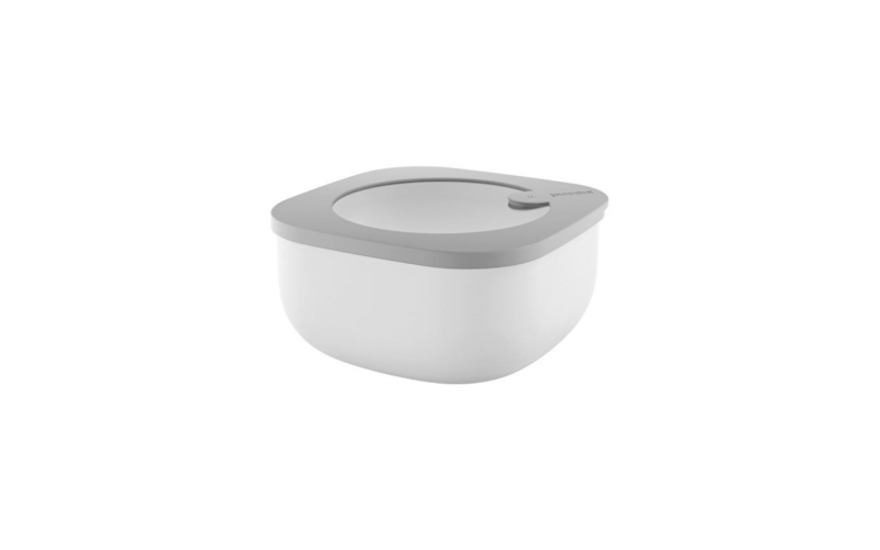 Store & More Shallow Airtight Small Container .975 Liter