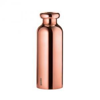 Store & More Thermal Travel Bottle, 500Ml