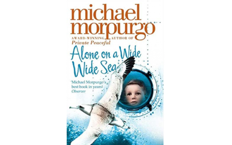 Alone On A Wide Wide Sea