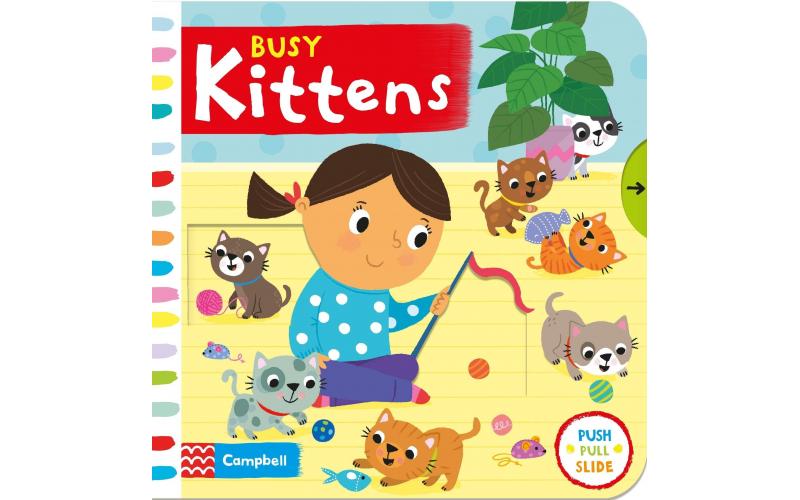 Busy Kittens