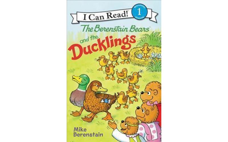 Berenstain Bears and the Ducklings