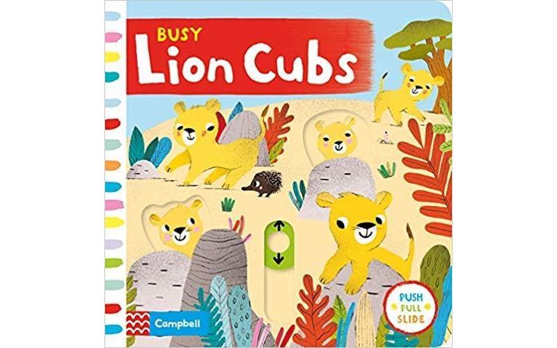 Busy Lion Cubs