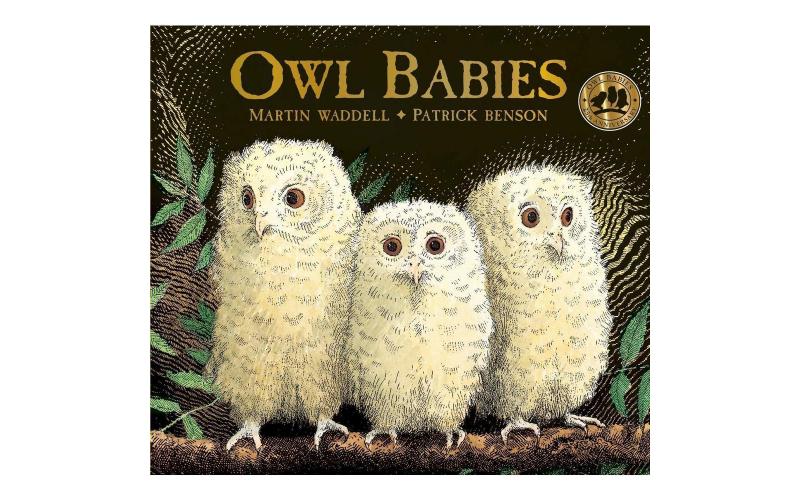 Owl Babies