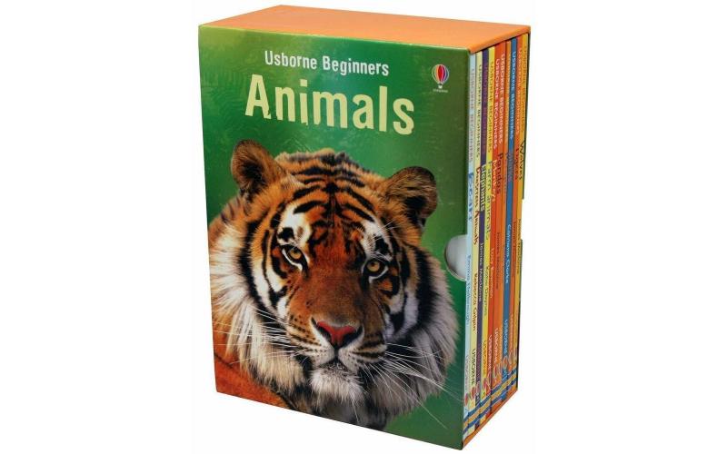 Usborne Beginners Animals Box Set