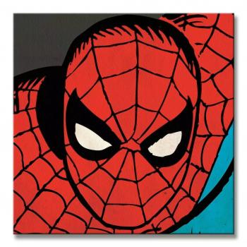 Pyramid: Marvel Comics (Spider-Man Close-Up) - Canvas Prints