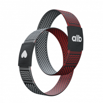Alb Smart Wristband