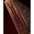 Theory 11: Playing Cards - Harry Potter - Red (Gryffindor)