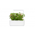 Click & Grow Wild Strawberry plant pods