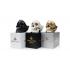 Suck UK Gold Skull Tidy