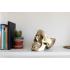 Suck UK Gold Skull Tidy
