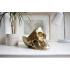 Suck UK Gold Skull Tidy