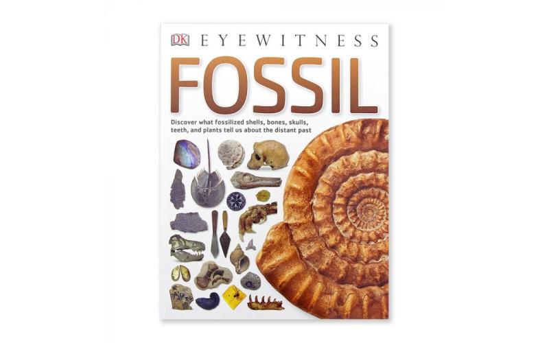 Fossil