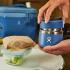 Hydroflask: 8 Oz Insulated Food Jar - Blackberry