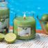 Yankee Candle Small Jar Candle Vanilla Lime