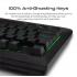 vertux-raidkey-gaming-keyboard-semi-mechanical-wired