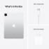 iPad Pro (12.9-inch, Wi-Fi, 1TB) APPLE