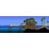 Terraria - Switch