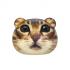 Kikerland Feline Fine Stress Balls