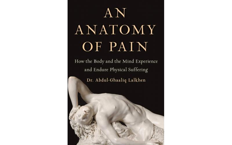 An Anatomy Of Pain
