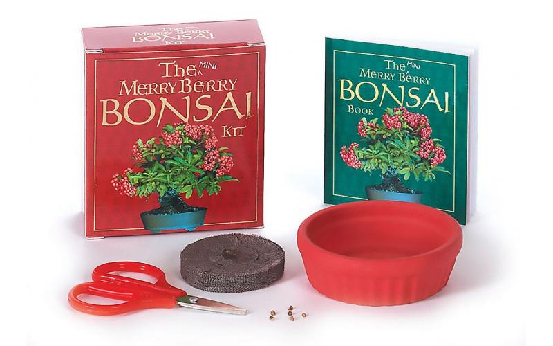 The Mini Merry Berry Bonsai Kit