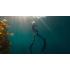 GoPro HERO 11 Black
