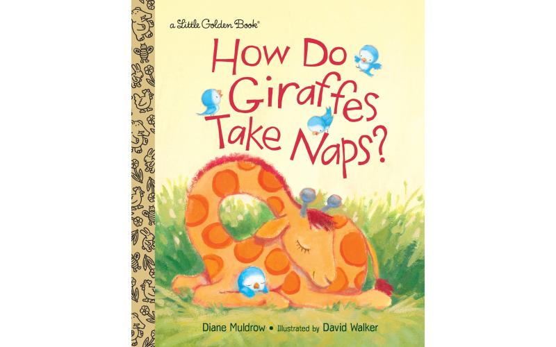 HOW DO GIRAFFES TAKE NAPS