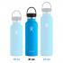 Hydroflask: 21 Oz Standard Flex Cap - Seagrass