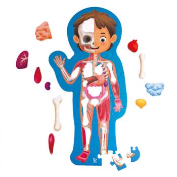 Hape - Human Body Puzzle