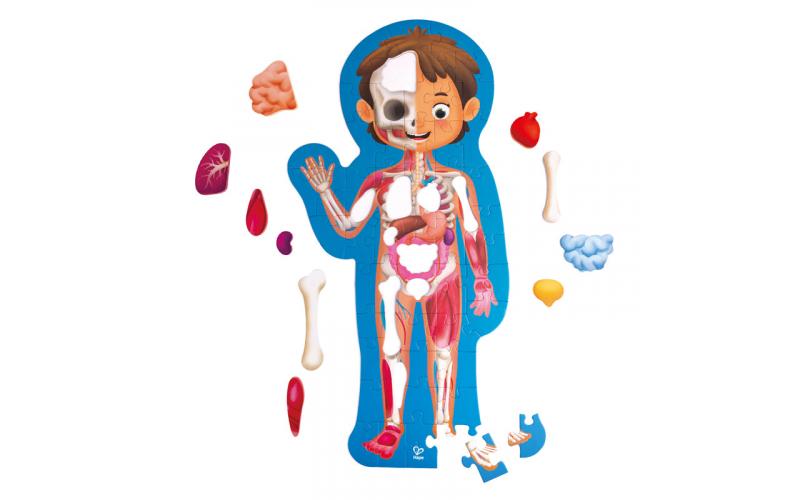 Hape - Human Body Puzzle