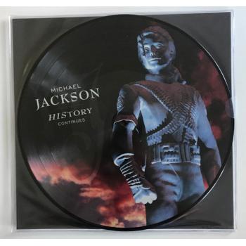 HISTORY CONTINUES PICTURE VINYL (2 DISCS)