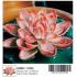 Diamond Dotz - Lotus