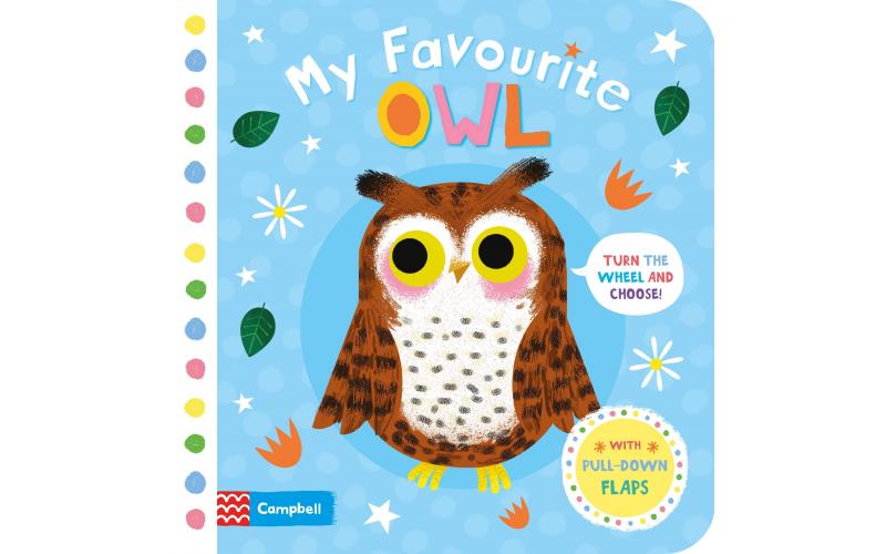 My Favourite Owl