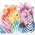 Diamond Dotz - Rainbow Zebras