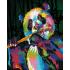 Diamond Dotz - Rainbow Panda