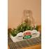 Half Moon Bay: Table Top Vase - Friends Central Perk