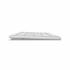Microsoft Surface Designer Compact KeyBoard - Glacier