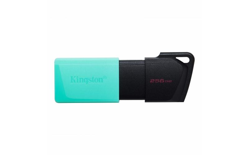 Kingston DataTraveler Exodia M 256GB DTXM/256GB