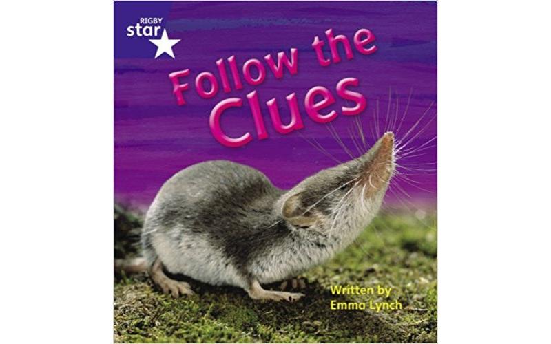 Follow The Clues