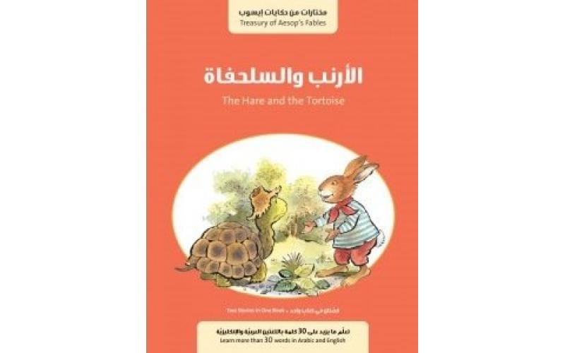 الارنب و السلحفاة / الحمار في البركة