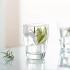 Ocean Tiara Double Rock, 365 ml (Set of 6 Pcs)