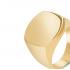 Engravable Pinky Ring in Yellow Gold