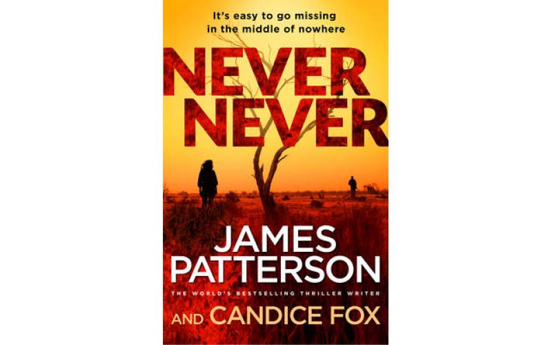 Detective Harriet Blue Series 1: Never Never: (Harriet Blue 1)