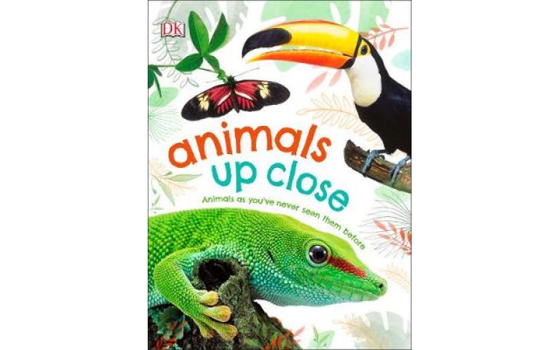 Animals Up Close: Animals as you’ve Never Seen them Before